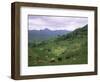 Salers Cows in Pastures, Cantal Mountains, Auvergne, France-Peter Higgins-Framed Photographic Print