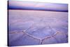 Salinas Grandes Del Noroeste Mountains and Dried-Up-null-Stretched Canvas