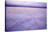 Salinas Grandes Del Noroeste Mountains and Dried-Up-null-Stretched Canvas
