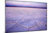 Salinas Grandes Del Noroeste Mountains and Dried-Up-null-Mounted Photographic Print