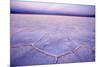 Salinas Grandes Del Noroeste Mountains and Dried-Up-null-Mounted Photographic Print