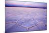 Salinas Grandes Del Noroeste Mountains and Dried-Up-null-Mounted Photographic Print