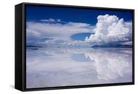 Salinas Grandes, Jujuy, Argentina-Peter Groenendijk-Framed Stretched Canvas