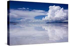 Salinas Grandes, Jujuy, Argentina-Peter Groenendijk-Stretched Canvas