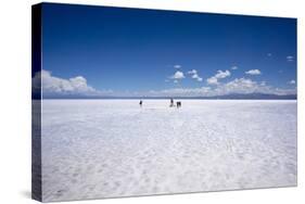 Salinas Grandes, Jujuy, Argentina-Peter Groenendijk-Stretched Canvas