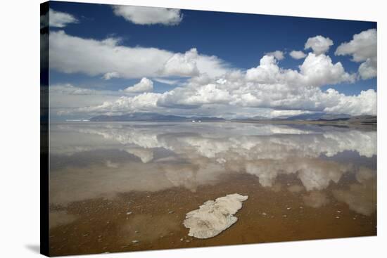 Salinas Grandes, Jujuy Province, Argentina, South America-Yadid Levy-Stretched Canvas