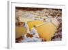 Salineras De Maras, Maras Salt Flats, Sacred Valley, Peru, South America-Laura Grier-Framed Photographic Print