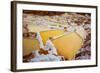 Salineras De Maras, Maras Salt Flats, Sacred Valley, Peru, South America-Laura Grier-Framed Photographic Print