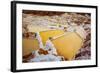 Salineras De Maras, Maras Salt Flats, Sacred Valley, Peru, South America-Laura Grier-Framed Photographic Print