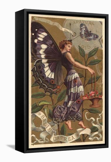 Salis Caprea Perfume Advertisement-null-Framed Stretched Canvas