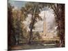 Salisbury Cathedral, from the Bishop's Grounds-John Constable-Mounted Giclee Print