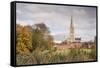 Salisbury Cathedral from the West Harnham Water Meadows, Salisbury, Wiltshire, England, United King-Julian Elliott-Framed Stretched Canvas