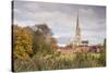 Salisbury Cathedral from the West Harnham Water Meadows, Salisbury, Wiltshire, England, United King-Julian Elliott-Stretched Canvas