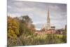 Salisbury Cathedral from the West Harnham Water Meadows, Salisbury, Wiltshire, England, United King-Julian Elliott-Mounted Photographic Print