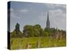 Salisbury Cathedral, Salisbury, Wiltshire, England, United Kingdom, Europe-Julian Elliott-Stretched Canvas