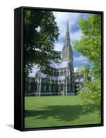 Salisbury Cathedral (Tallest Spire in England), Wiltshire, England-Christopher Nicholson-Framed Stretched Canvas