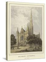 Salisbury Cathedral, West Front-Hablot Knight Browne-Stretched Canvas