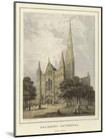Salisbury Cathedral, West Front-Hablot Knight Browne-Mounted Giclee Print