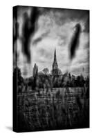 Salisbury Cathedral-Rory Garforth-Stretched Canvas