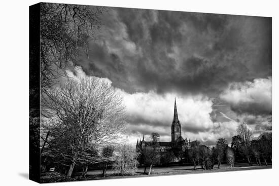 Salisbury Cathedral-Rory Garforth-Stretched Canvas