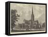 Salisbury Cathedral-null-Framed Stretched Canvas