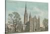 Salisbury Cathedral-null-Stretched Canvas