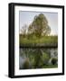 Salisbury Water Meadows River Avon-Charles Bowman-Framed Photographic Print