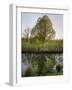 Salisbury Water Meadows River Avon-Charles Bowman-Framed Photographic Print