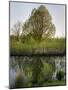 Salisbury Water Meadows River Avon-Charles Bowman-Mounted Photographic Print