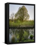 Salisbury Water Meadows River Avon-Charles Bowman-Framed Stretched Canvas