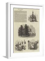 Salisbury-Samuel Read-Framed Giclee Print