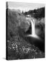 Salish Lodge and English Daisies, Snoqualmie Falls, Washington, USA-Charles Crust-Stretched Canvas