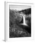 Salish Lodge and English Daisies, Snoqualmie Falls, Washington, USA-Charles Crust-Framed Photographic Print