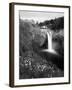 Salish Lodge and English Daisies, Snoqualmie Falls, Washington, USA-Charles Crust-Framed Photographic Print