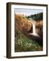 Salish Lodge and English Daisies, Snoqualmie Falls, Washington, USA-Charles Crust-Framed Photographic Print