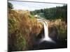 Salish Lodge and English Daisies, Snoqualmie Falls, Washington, USA-Charles Crust-Mounted Photographic Print