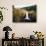 Salish Lodge and English Daisies, Snoqualmie Falls, Washington, USA-Charles Crust-Photographic Print displayed on a wall