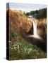 Salish Lodge and English Daisies, Snoqualmie Falls, Washington, USA-Charles Crust-Stretched Canvas