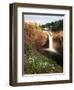 Salish Lodge and English Daisies, Snoqualmie Falls, Washington, USA-Charles Crust-Framed Photographic Print