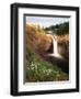 Salish Lodge and English Daisies, Snoqualmie Falls, Washington, USA-Charles Crust-Framed Photographic Print