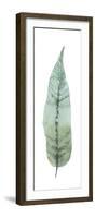 Salix Tristis-Sandra Jacobs-Framed Giclee Print