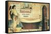 Salle De Bain (2)-Vintage Apple Collection-Framed Stretched Canvas