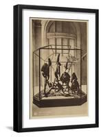 Salle Des Gorilles-null-Framed Giclee Print