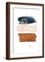 Brown Frame