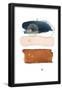 Essential Black