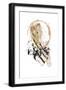 Black Frame