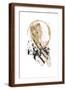 Brown Frame