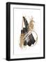 Black Frame