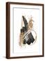 Brown Frame