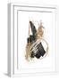 White Frame